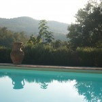 Late afternoon light at the pool